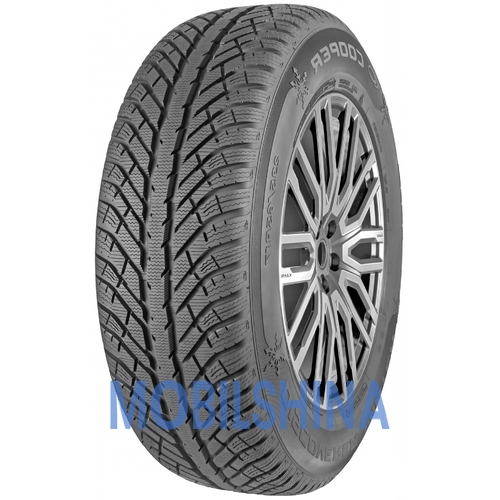 225/65 R17 Cooper Discoverer Winter 102H